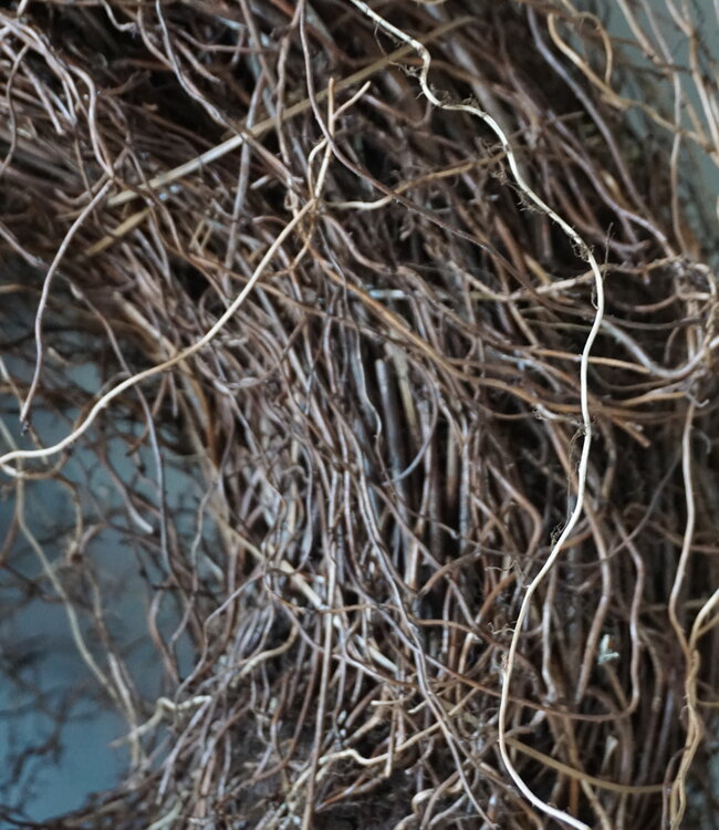 Rene Houtman Krans | Varenwortel | Rood | H15 x D48 cm