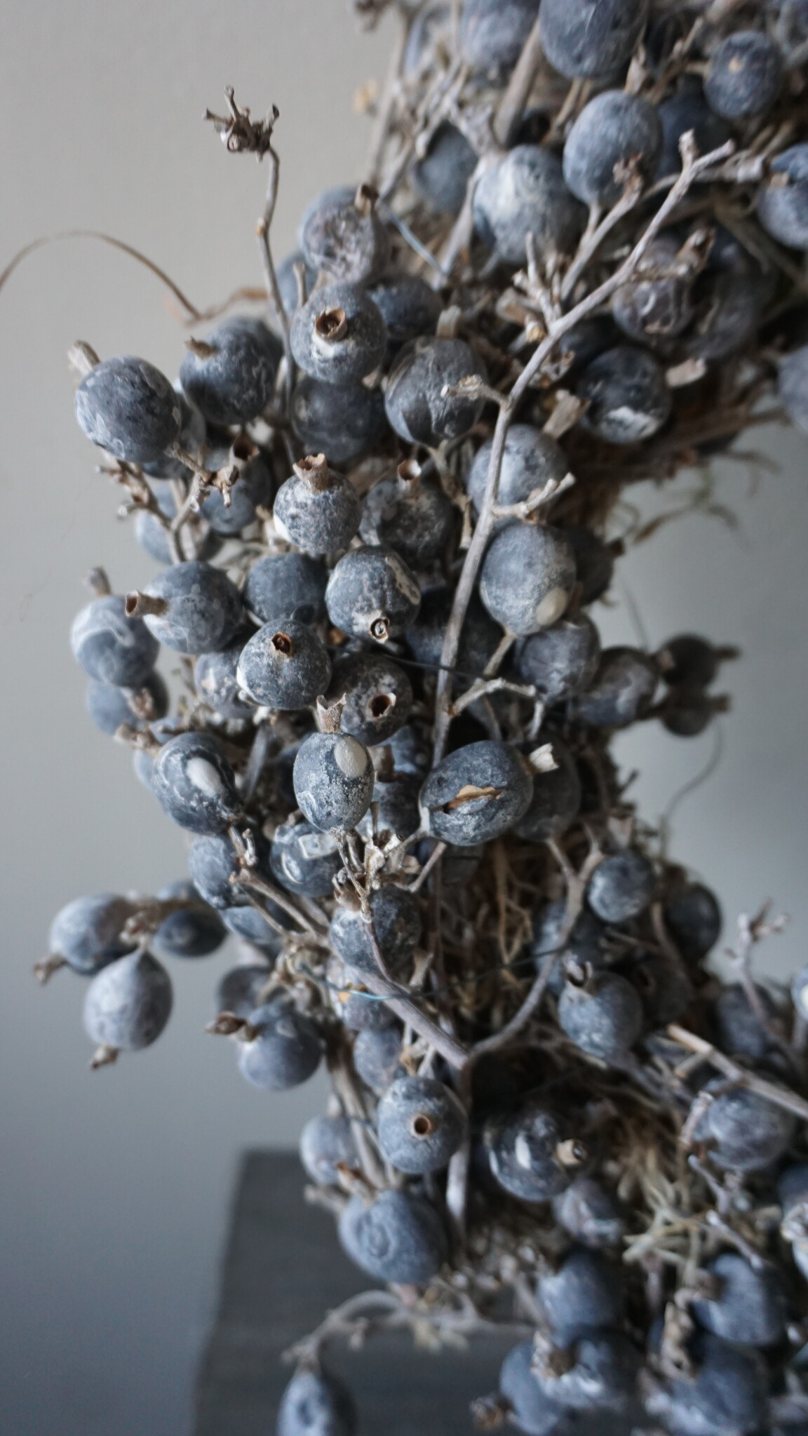 Rene Houtman Krans | Berry | Wit | H10 x D35 cm