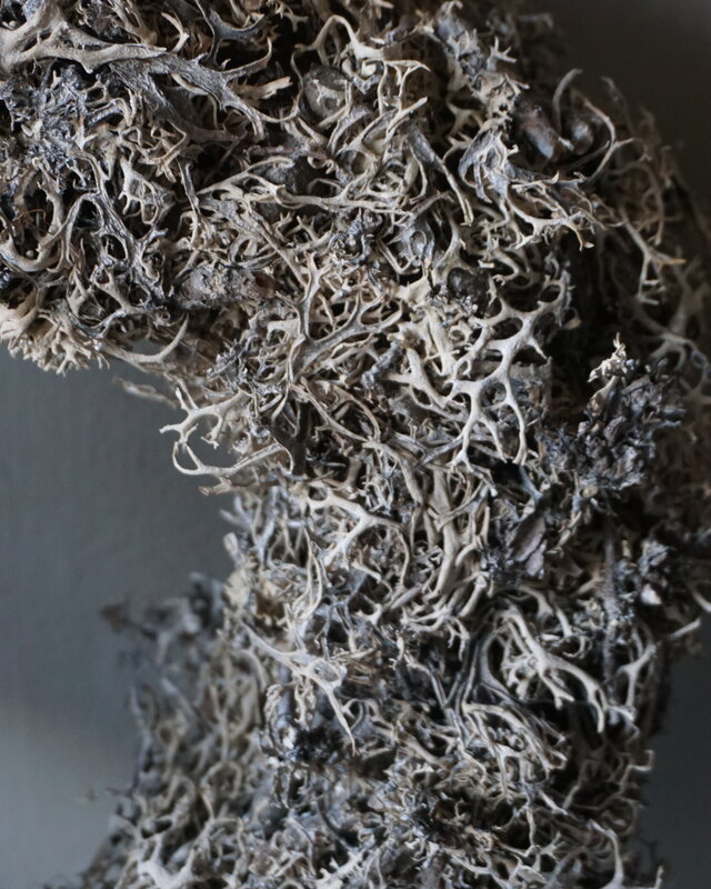 Rene Houtman Krans | Bonsai Larix Mos | Frosted | H7 x D30 cm