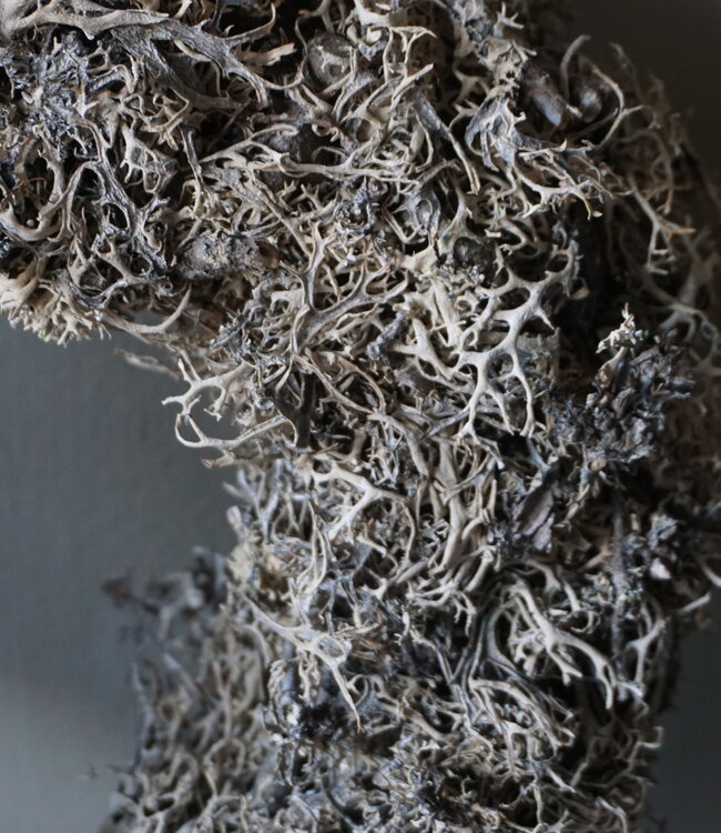 Rene Houtman Krans | Bonsai Larix Mos | Frosted | H7 x D30 cm