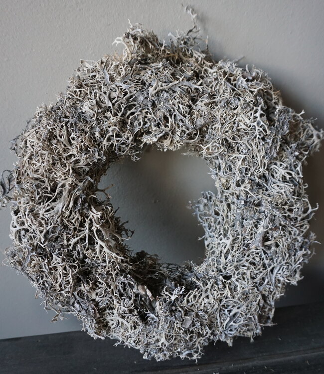 Rene Houtman Krans | Bonsai Larix Mos | Frosted | H7 x D30 cm