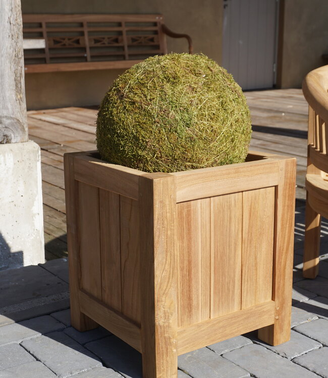 Rene Houtman Plantenbak Tropika | Teakhout | Vierkant | H45xB35xD35 cm