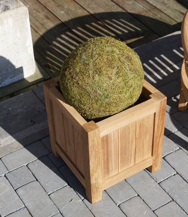 Rene Houtman Plantenbak Tropika | Teakhout | Vierkant | H45xB35xD35 cm