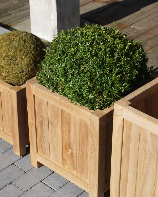 Rene Houtman Plantenbak Tropika | Teakhout | Vierkant | H55xB45xD45 cm