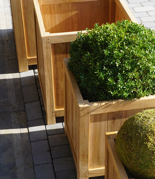 Rene Houtman Plantenbak Tropika | Teakhout | Vierkant | H55xB45xD45 cm