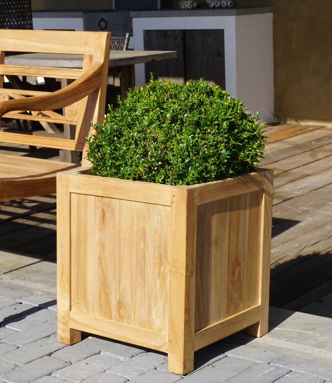 Rene Houtman Plantenbak Tropika | Teakhout | Vierkant | H55xB45xD45 cm