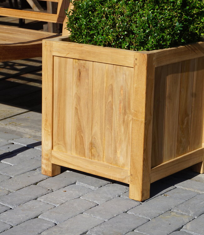 Rene Houtman Plantenbak Tropika | Teakhout | Vierkant | H55xB45xD45 cm