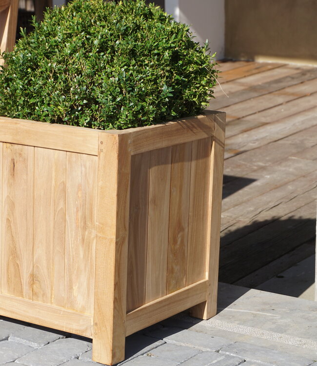 Rene Houtman Plantenbak Tropika | Teakhout | Vierkant | H55xB45xD45 cm