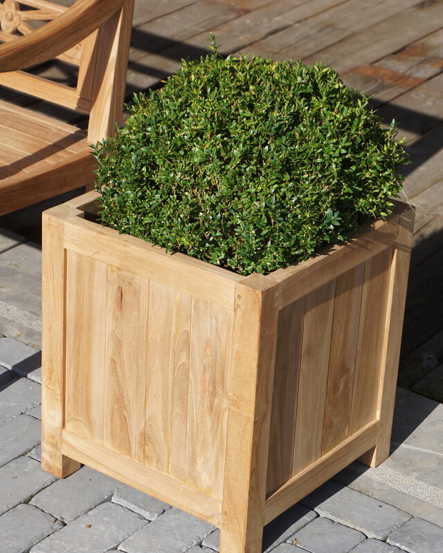 Rene Houtman Plantenbak Tropika | Teakhout | Vierkant | H55xB45xD45 cm