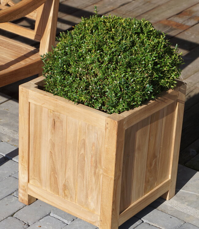 Rene Houtman Plantenbak Tropika | Teakhout | Vierkant | H55xB45xD45 cm