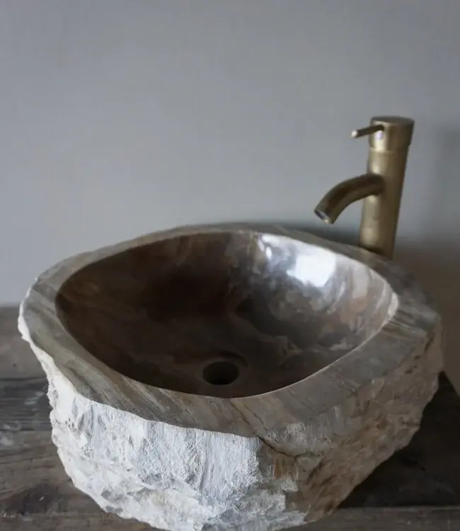 Rene Houtman Waskom Fossil | B46 x D42 x H14 cm