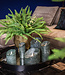 PTMD LED Lichtkaars | Set van 5 | Rustiek Groen | Beweegbare Vlam