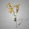 Kunstbloem Babysbreath | Champagne | L80 cm