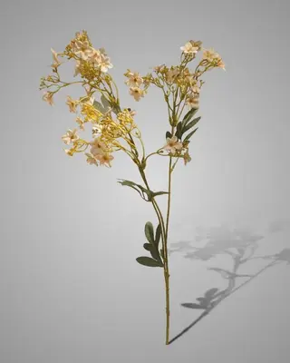 Brynxz Kunstbloem Babysbreath | Champagne | L80 cm