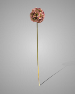 Brynxz Kunstbloem Scabiosa | Roze | L70 cm