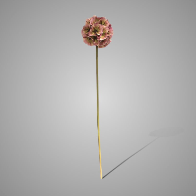 Brynxz Kunstbloem Scabiosa | Roze | L70 cm