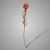 Kunstbloem Bloeiende Protea | Oudroze | H60 cm