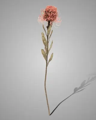 Brynxz Kunstbloem Bloeiende Protea | Oudroze | H60 cm