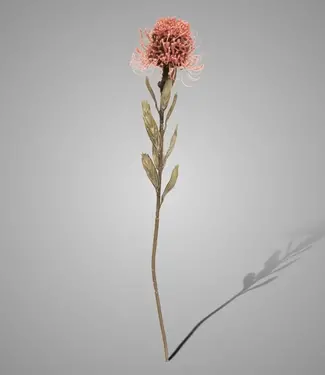 Brynxz Kunstbloem Bloeiende Protea | Oudroze | H60 cm