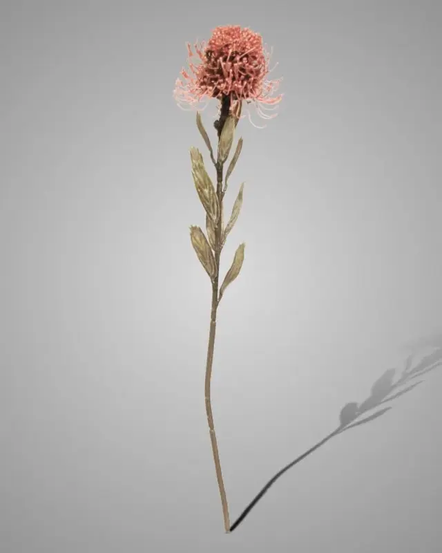 Brynxz Kunstbloem Bloeiende Protea | Oudroze | H60 cm