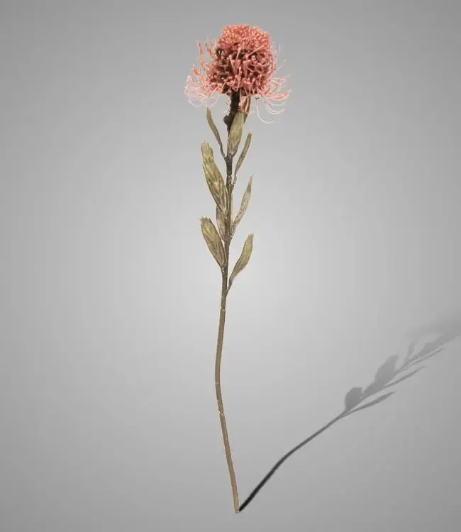 Brynxz Kunstbloem Bloeiende Protea | Oudroze | H60 cm