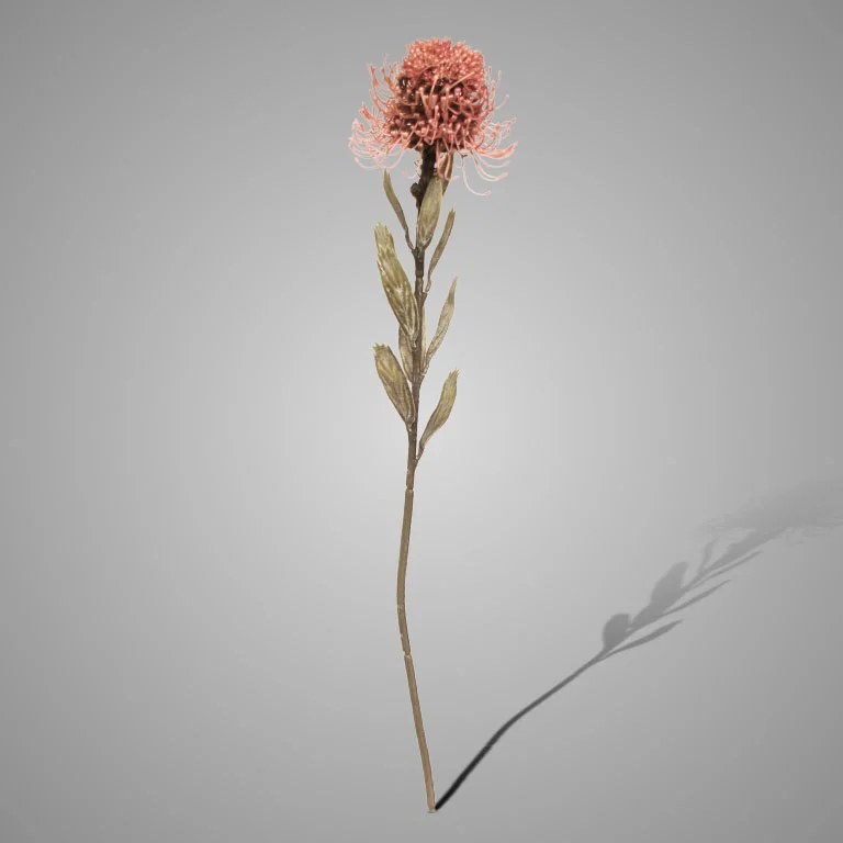 Brynxz Kunstbloem Bloeiende Protea | Oudroze | H60 cm