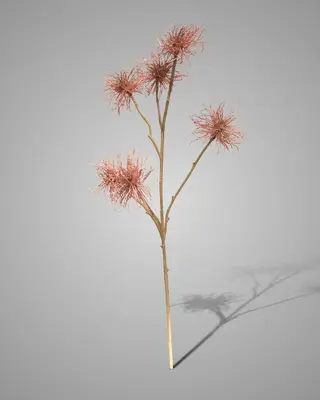 Brynxz Kunstbloem Xanthium | Oudroze | H81 cm