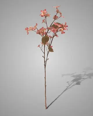 Brynxz Kunstbloem Tungbloem | Oudroze | H63 cm