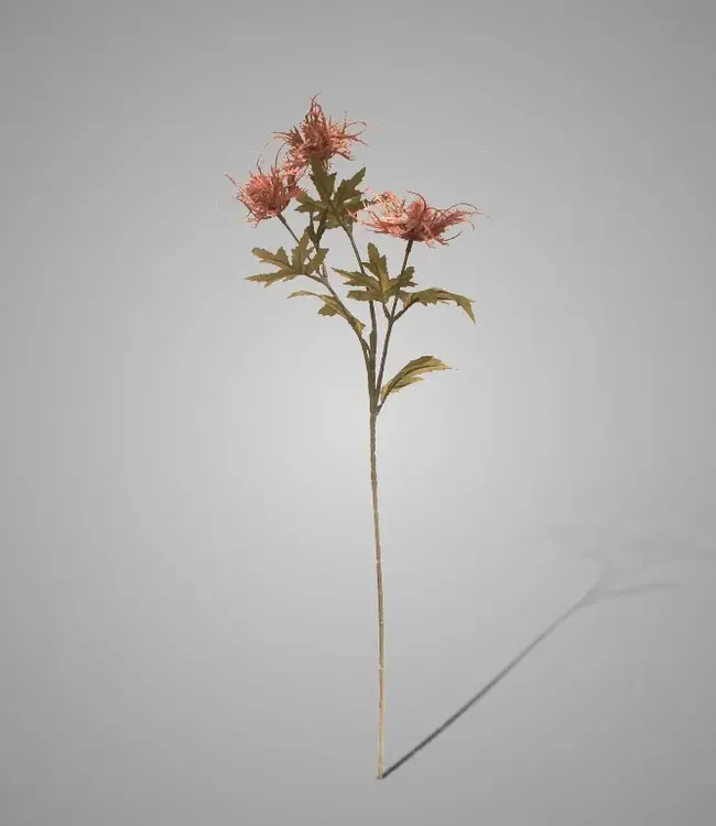 Brynxz Kunsttak Wilde Zee Hulst | Oud Roze | H67 cm