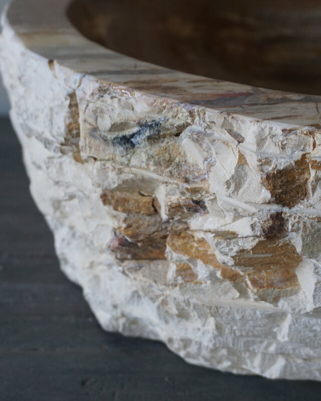 Rene Houtman Waskom Fossil | B44 x D39 x H16 cm