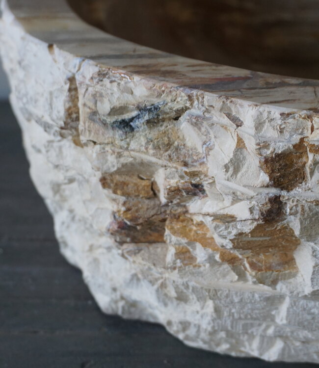 Rene Houtman Waskom Fossil | B44 x D39 x H16 cm