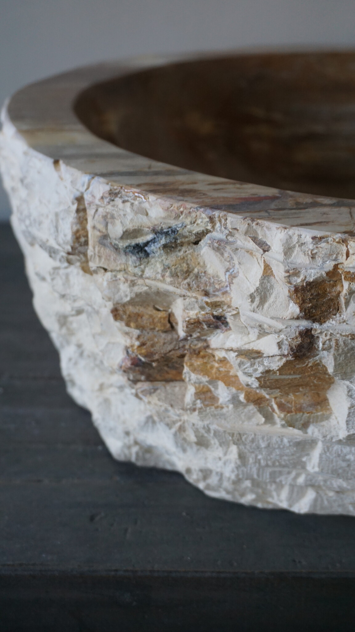 Rene Houtman Waskom Fossil | B44 x D39 x H16 cm