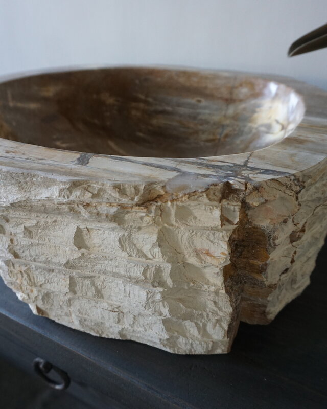 Rene Houtman Waskom Fossil | B44 x D39 x H16 cm
