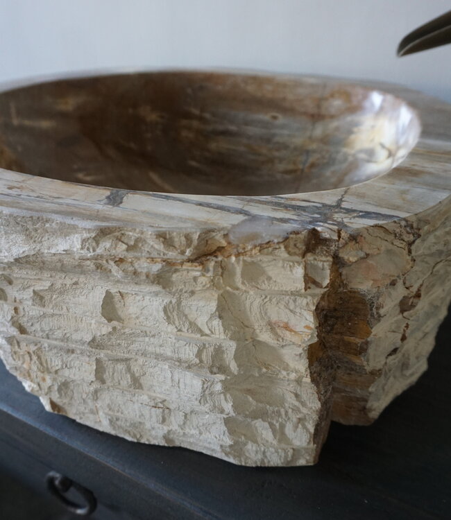 Rene Houtman Waskom Fossil | B44 x D39 x H16 cm