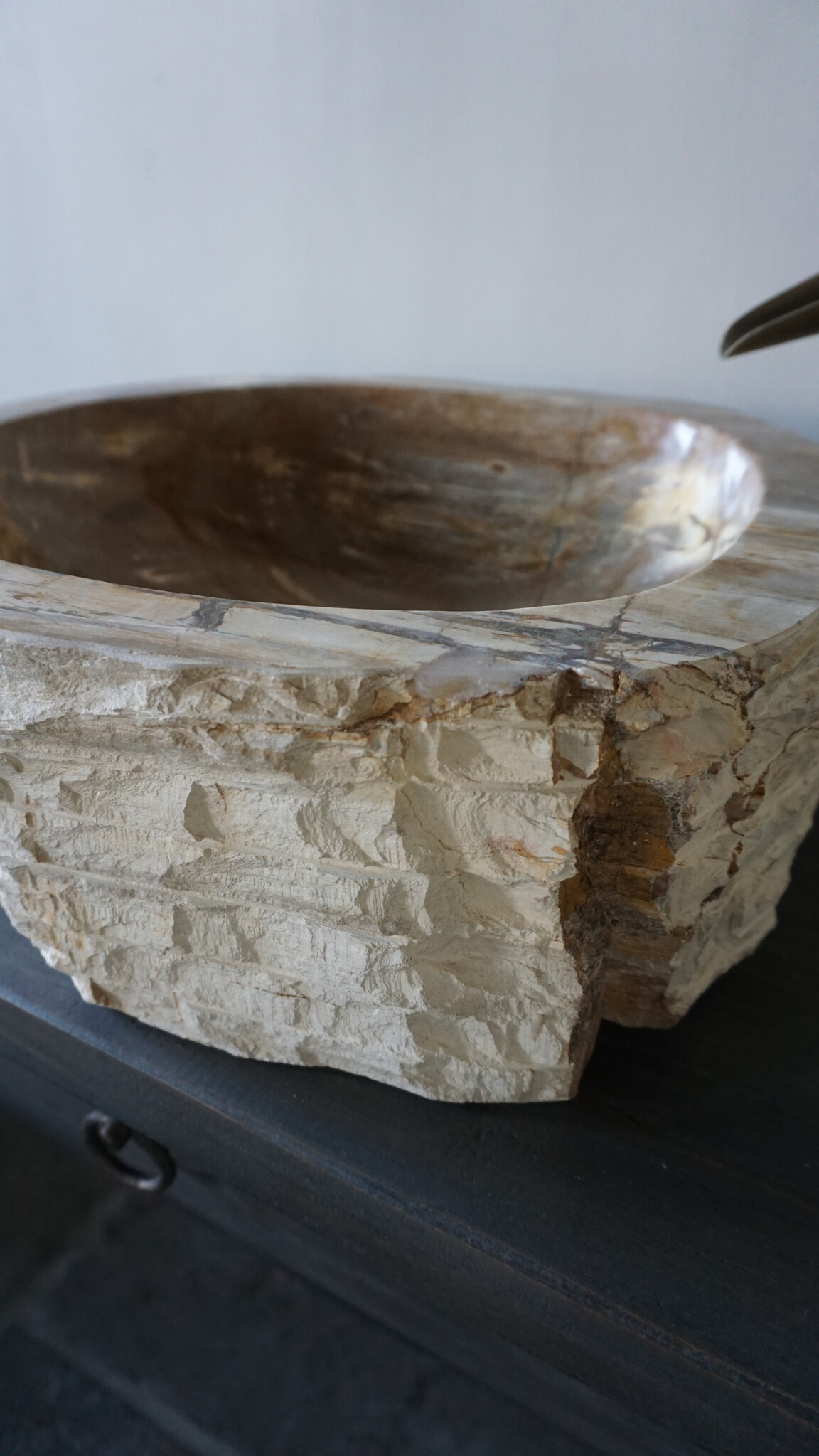 Rene Houtman Waskom Fossil | B44 x D39 x H16 cm