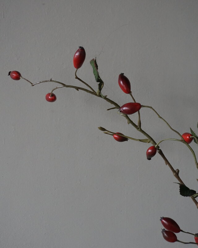 Rene Houtman Rosa Canina | Rood | L110 cm