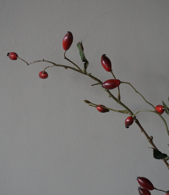 Rene Houtman Rosa Canina | Rood | L110 cm