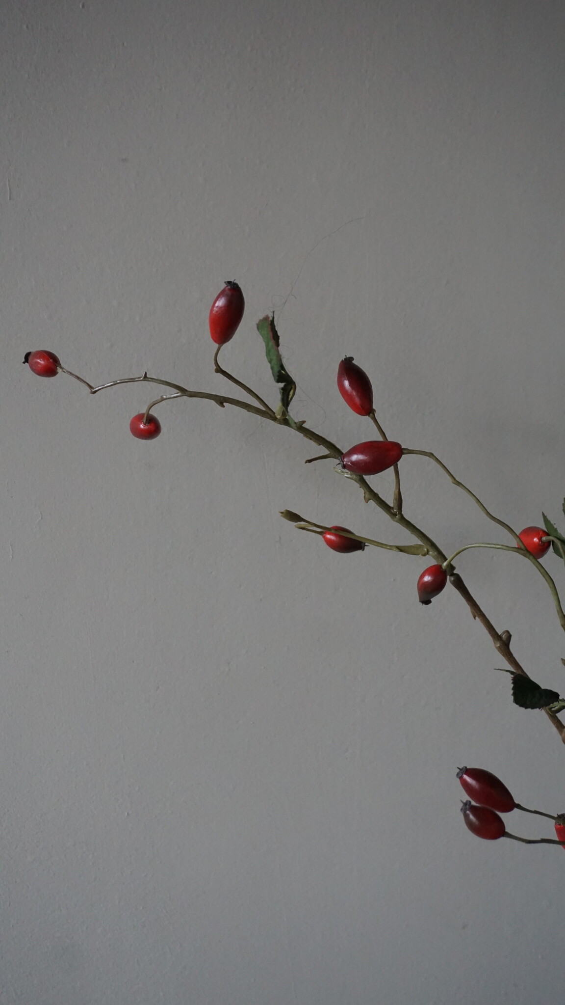 Rene Houtman Rosa Canina | Rood | L110 cm
