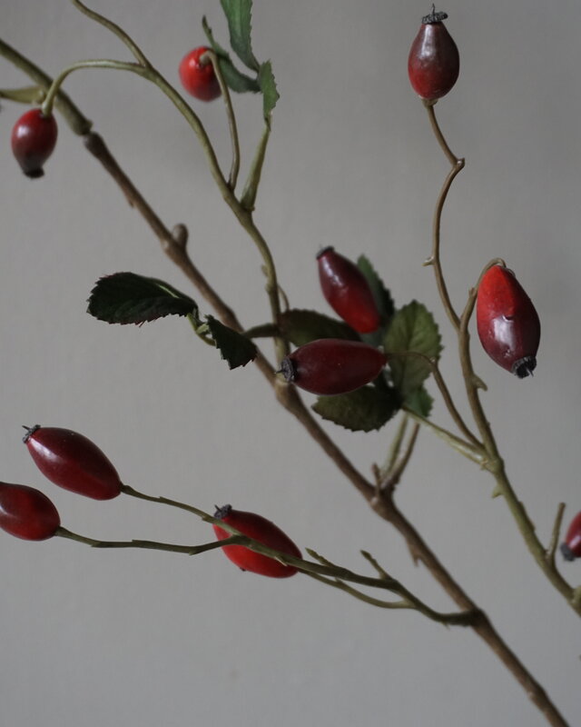 Rene Houtman Rosa Canina | Rood | L110 cm