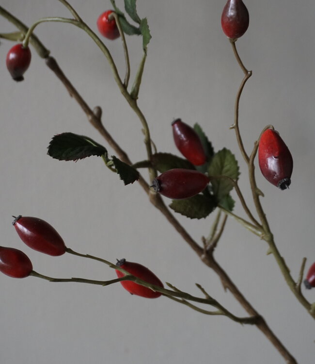 Rene Houtman Rosa Canina | Rood | L110 cm