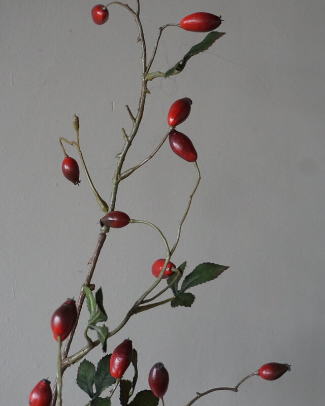 Rene Houtman Rosa Canina | Rood | L110 cm