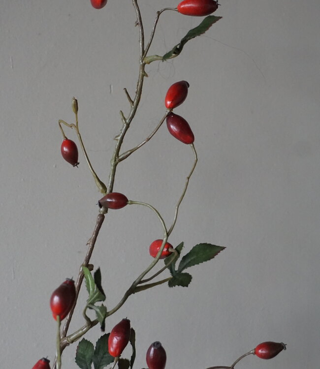 Rene Houtman Rosa Canina | Rood | L110 cm