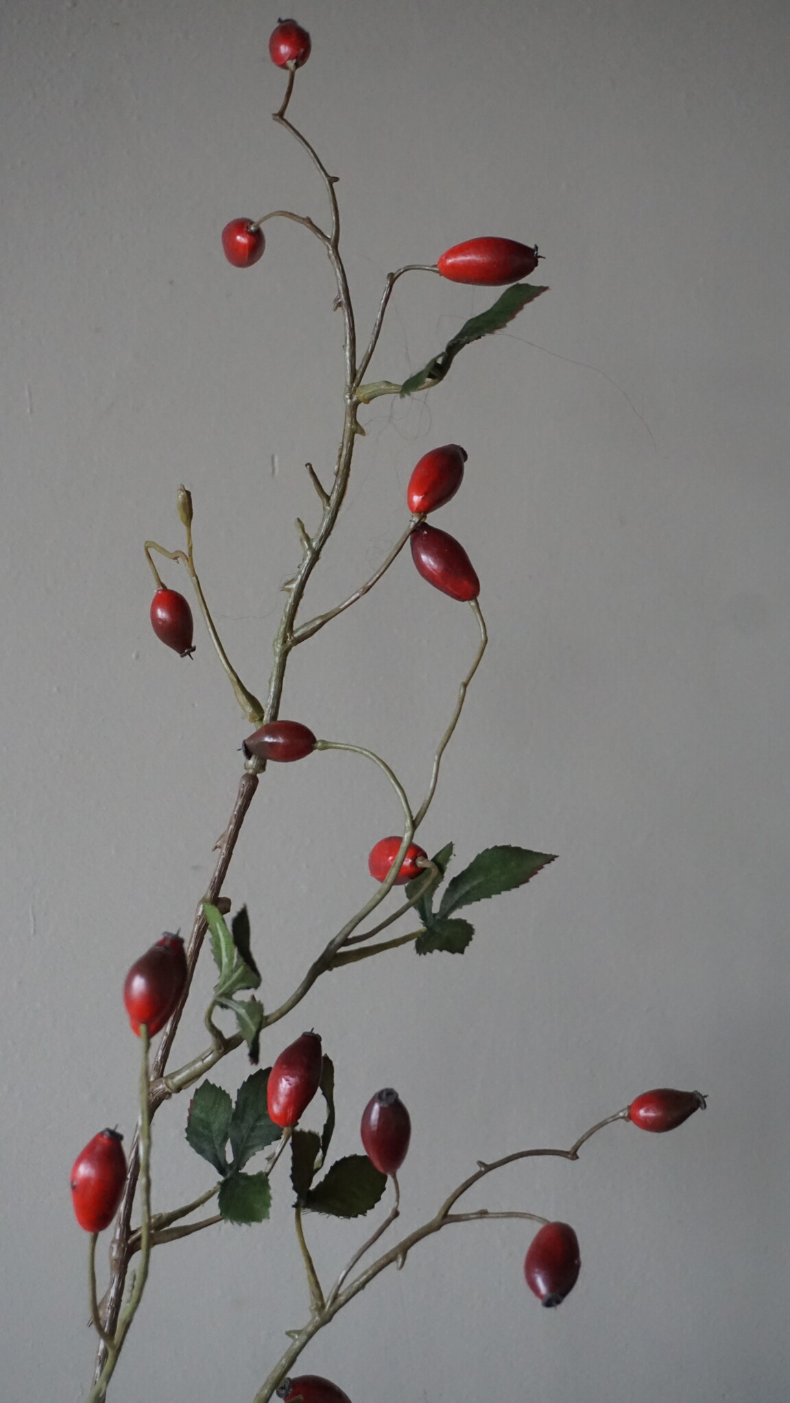 Rene Houtman Rosa Canina | Rood | L110 cm