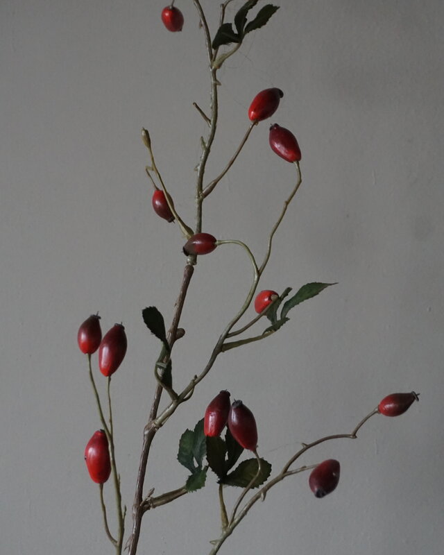 Rene Houtman Rosa Canina | Rood | L110 cm