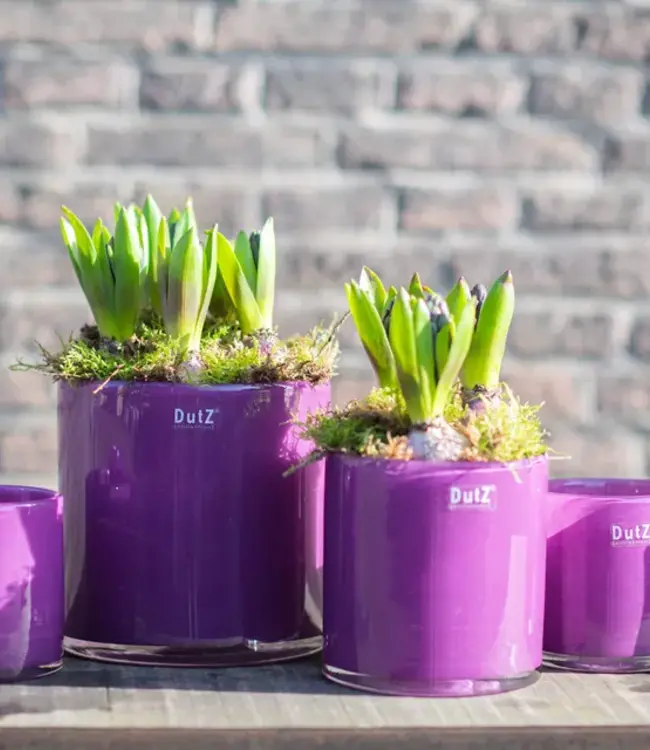 DutZ Kaarsenglas | Violet | H10 x D10 cm