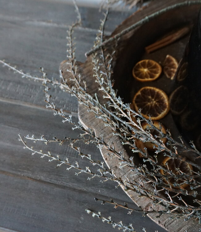 Rene Houtman Euphorbia Kunstbloem | Groen | L137 x B10 cm