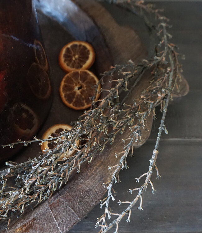 Rene Houtman Euphorbia Kunstbloem | Groen | L137 x B10 cm