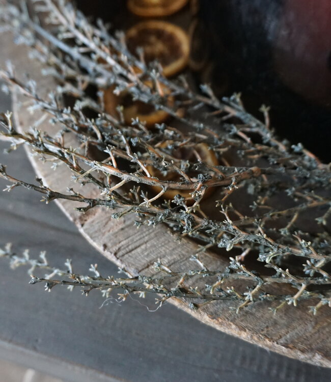 Rene Houtman Euphorbia Kunstbloem | Groen | L137 x B10 cm