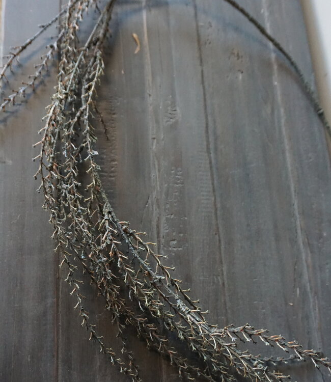 Rene Houtman Euphorbia Kunstbloem | Groen | L137 x B10 cm