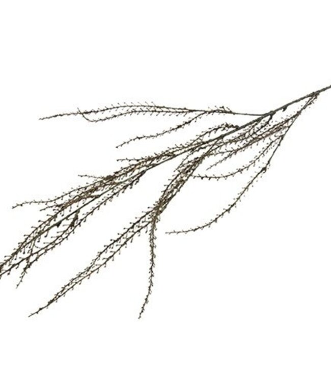 Rene Houtman Euphorbia Kunstbloem | Groen | L137 x B10 cm